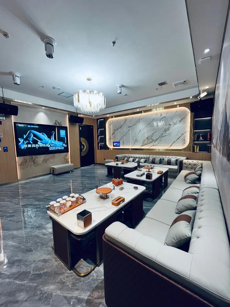 天津商务ktv模式特色-宝坻区ktv预定